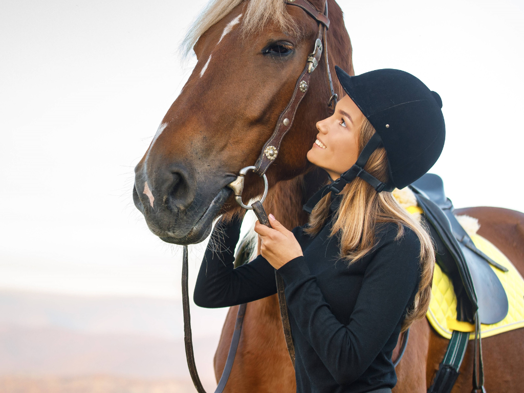 Höhle der Löwen Tanga